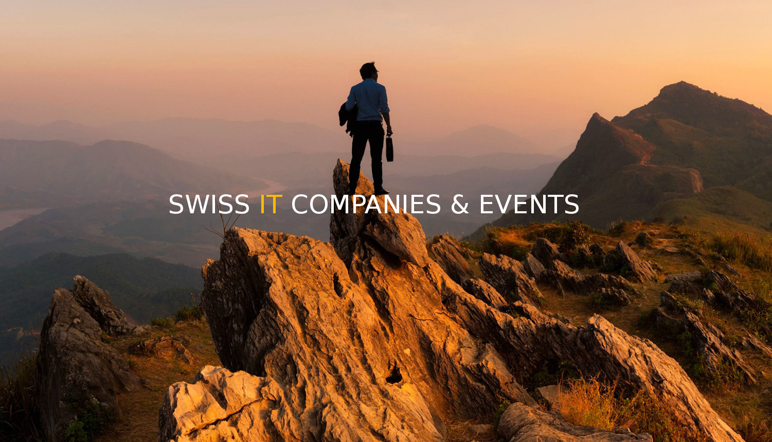 Home Swiss IT Companies